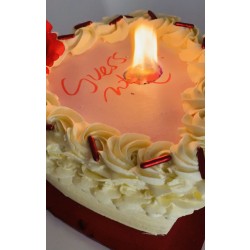 Valentine Cake Burnaway